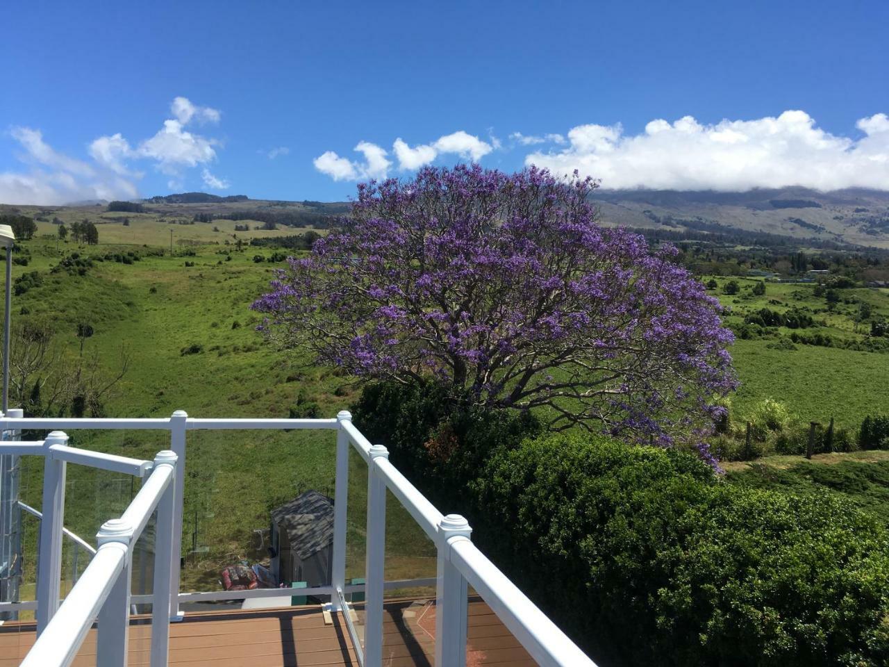 Ha'Le Kiana Bed and Breakfast Kula Buitenkant foto