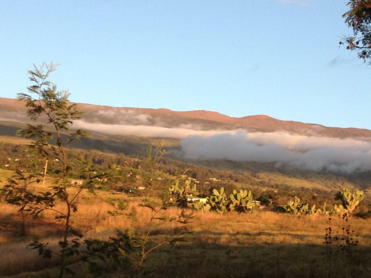 Ha'Le Kiana Bed and Breakfast Kula Buitenkant foto